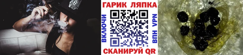 ГАШ Premium  как найти   Олонец 