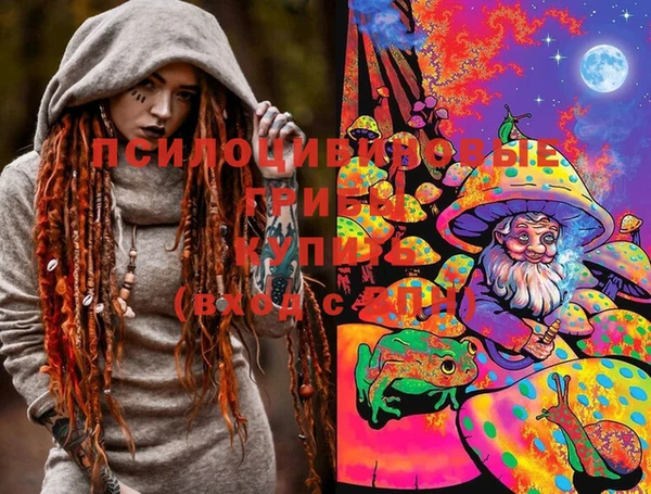крисы Алексеевка