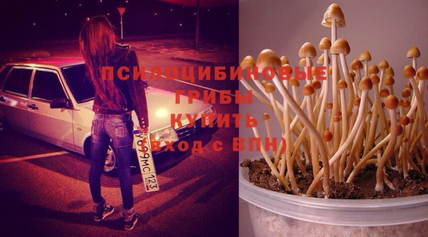 эйфоретик Алзамай
