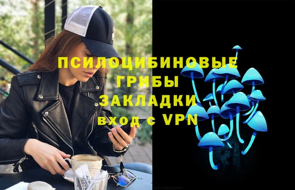 эйфоретик Алзамай