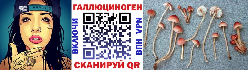 продажа наркотиков  Олонец  Псилоцибиновые грибы мухоморы 